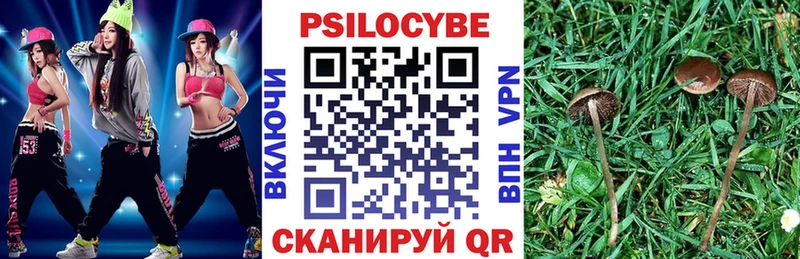 Псилоцибиновые грибы MAGIC MUSHROOMS  Купить закладки  Нестеров 