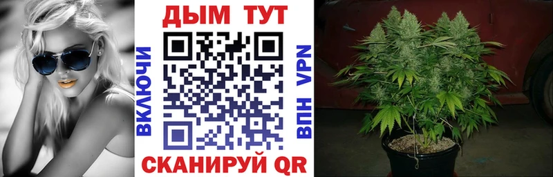 Купить  Нестеров  Марихуана THC 21% 